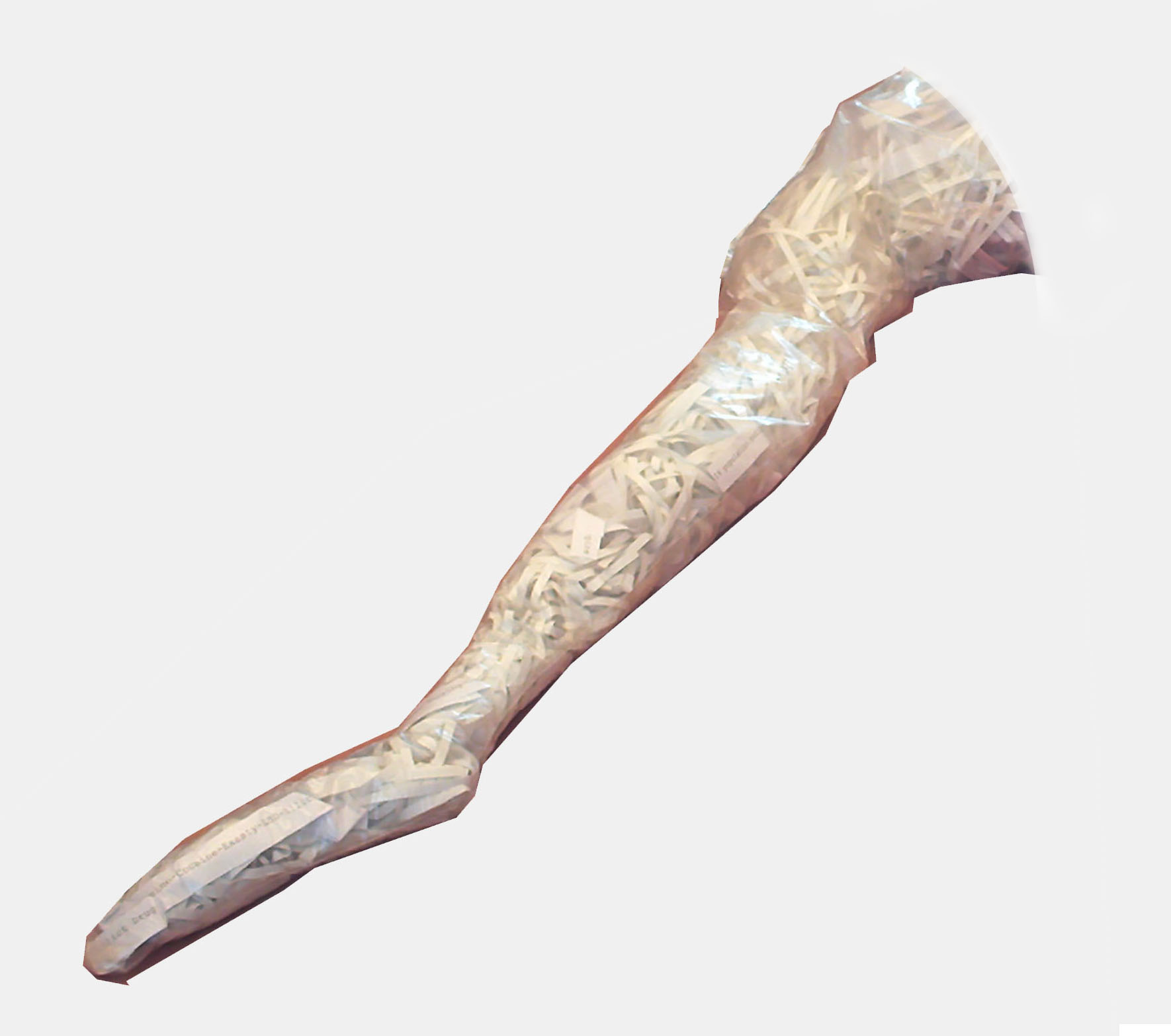 leg-image