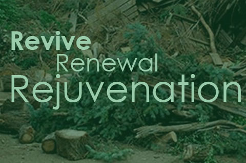 revive