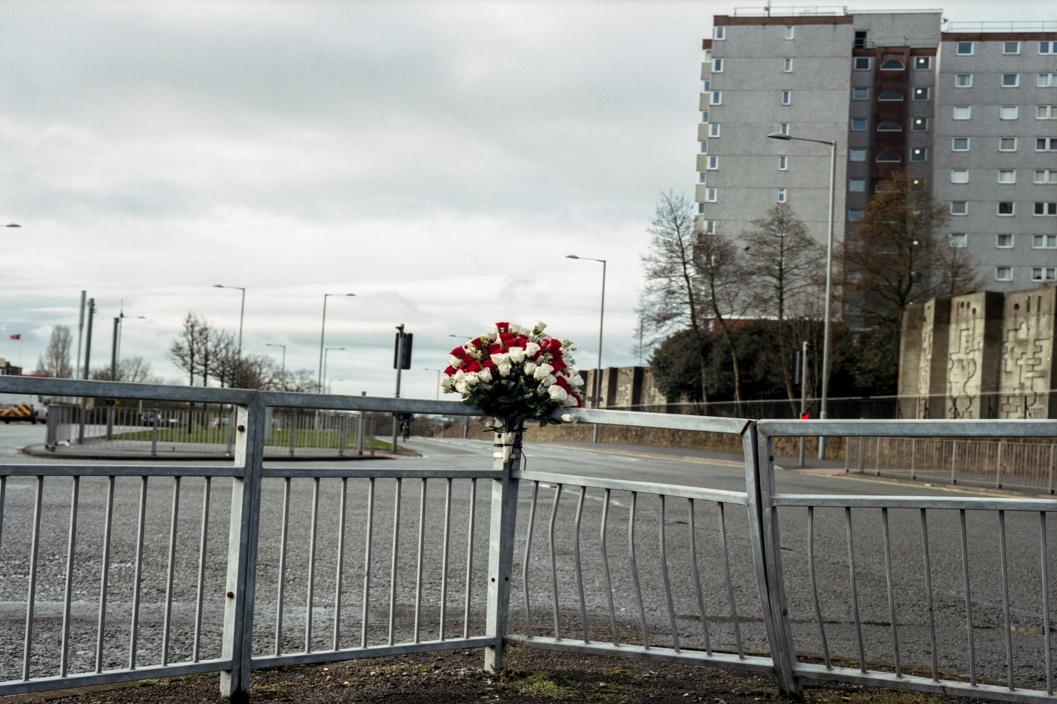 Bluebell resize small (1)