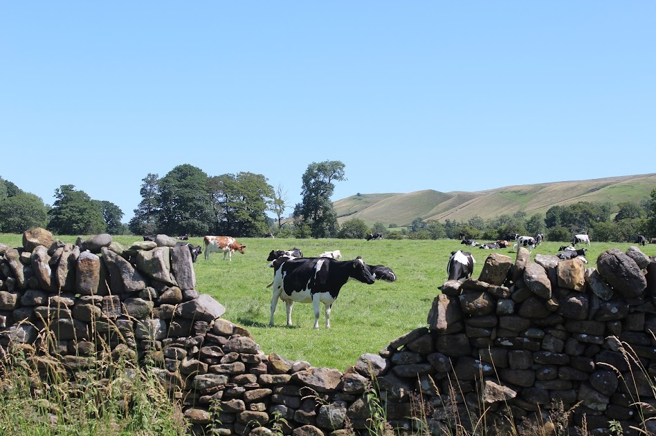 Hiking Pendle Hill from Clitheroe: A Scenic 12-Mile Adventure in Lancashire