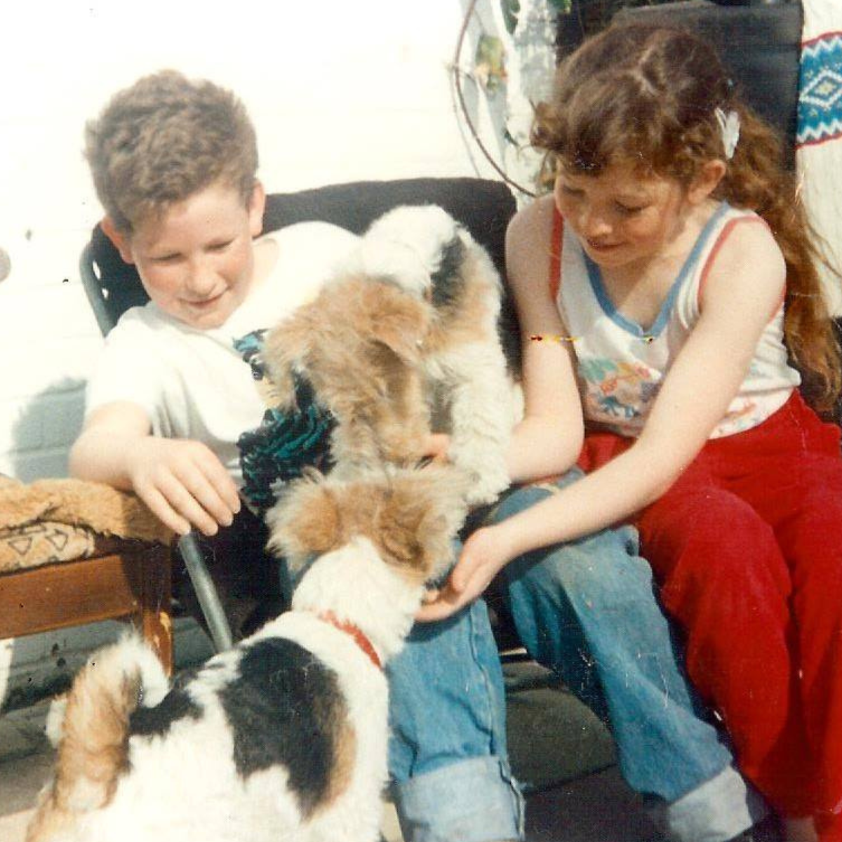 Alison: A Name, a Story, and a Wardrobe of Vintage T-Shirts