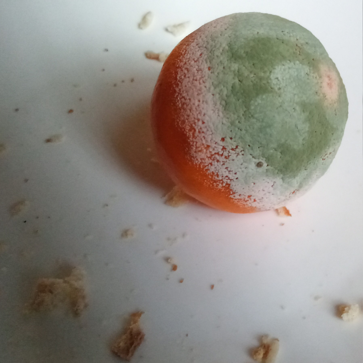 The Unexpected Beauty of a Decaying Tangerine
