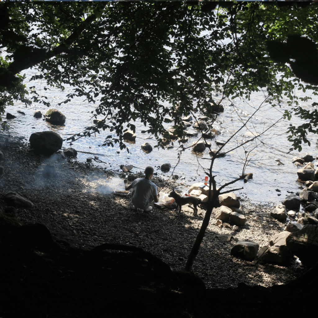 Scene looking onto a remote beach on Lake Windemere's shore.