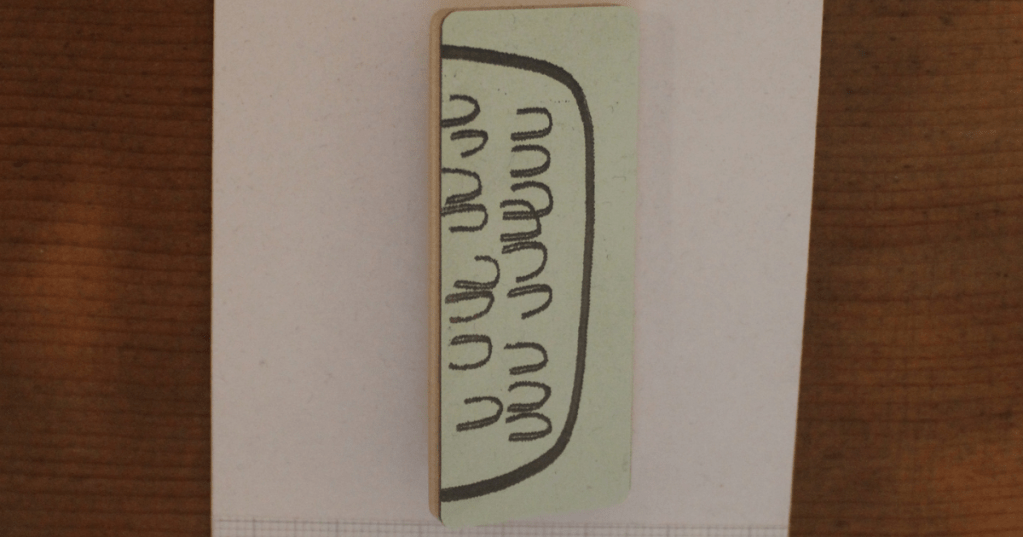 Close up of brooch created by Susan Kane.