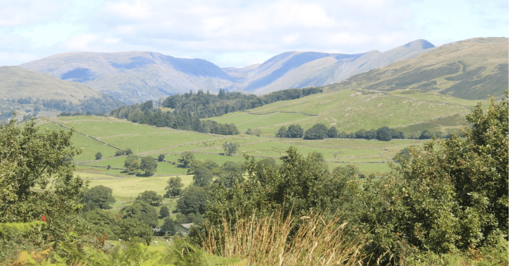 View From Orrest Head