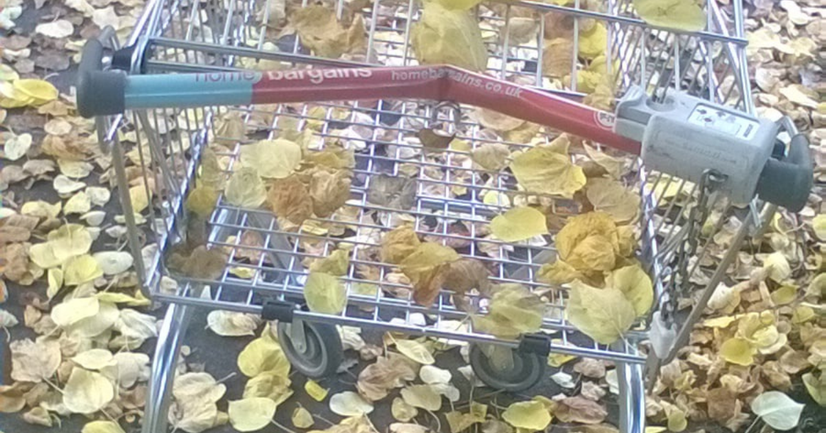 Capturing Autumn: A Poem on Urban Decay, Social Struggle, and Seasonal Change during the Pandemic