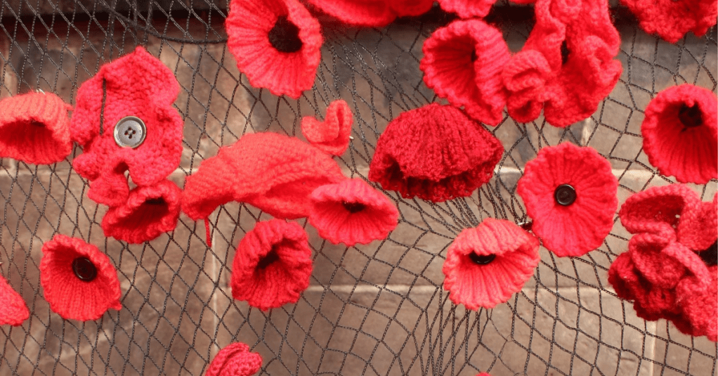 Close up image of knitted Poppies.