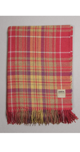 Folded Lachie Stewart Wool Cotton Throw in a vibrant tartan pattern featuring red, yellow, purple, and white intersecting lines. Finished with soft fringed edges and a sewn “ANTA made in Scotland” label, showcasing traditional Scottish craftsmanship and premium wool-cotton blend.