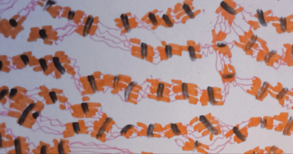 Entry from Alison Little 2025 image diary using texture to portray varying levels of touch and the senses.