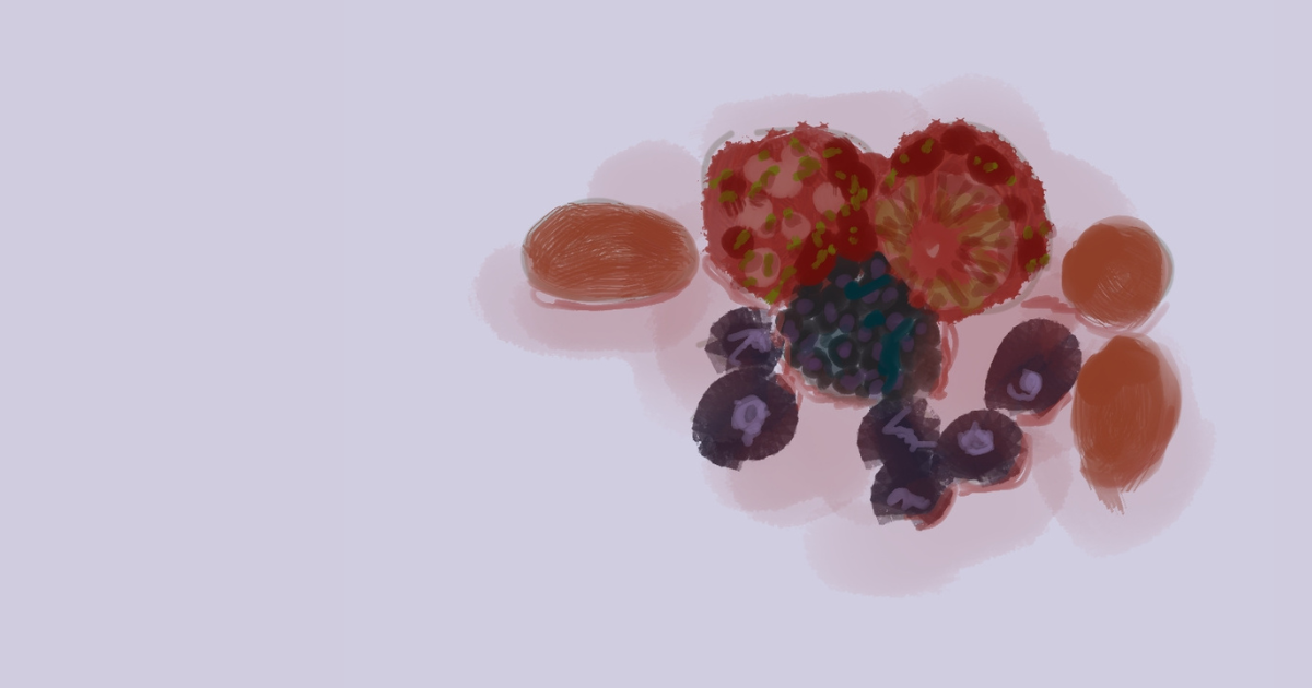 A soft, painterly digital sketch of mixed fruit created in Infinite Painter. The composition includes sliced strawberries with visible seeds, clusters of dark purple berries, several blueberries with pale centers, and a few small orange fruits. A single reddish-brown oval fruit sits to the side. All the fruit rests against a muted lavender background, with gentle shading and blended brushstrokes giving the scene a hand‑drawn, illustrative feel.