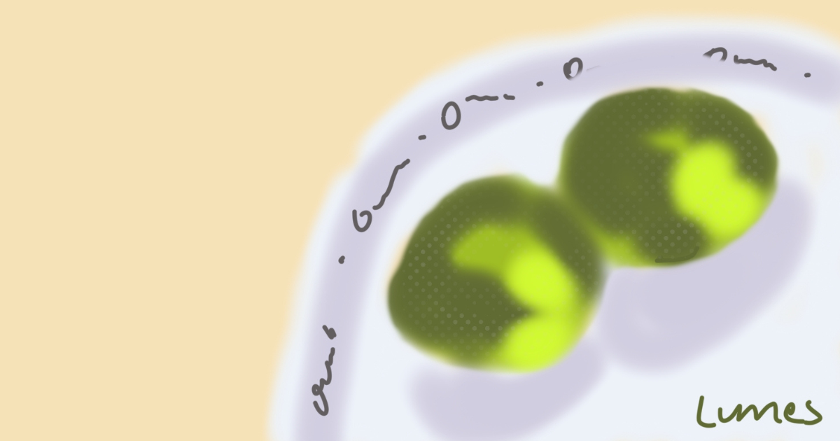 Mastering Digital Fruit Sketches: Bananas, Limes and Strawberries