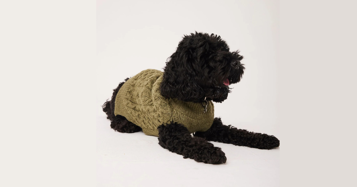 Houndson Aran Dog Jumper in apple green, worn by a curly‑coated dog sitting against a clean white backdrop, featuring a classic cable‑knit pattern, soft British‑wool texture, and a cosy, close‑fit design ideal for cool‑weather comfort.